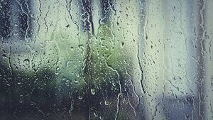 Met Éireann issues rain and wind warnings for four counties on Thursday Met Éireann issues rain and wind warnings for four counties on Thursday