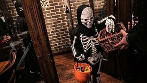 Adults in Ireland set to spend €11.5m less on Halloween this year Adults in Ireland set to spend €11.5m less on Halloween this year