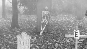 Gardaí arrest two men in connection with electric scooter theft in Swords Gardaí arrest two men in connection with electric scooter theft in Swords