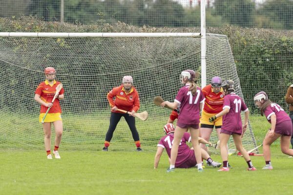 Mel Treacy keeping goal for St Laurences during their Intermediate Championship Final win over Leixlip Photo: Aisling Hyland Mel Treacy keeping goal for St Laurences during their Intermediate Championship Final win over Leixlip Photo: Aisling Hyland