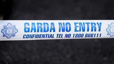 Man in his 40s dies following road crash in Co Carlow