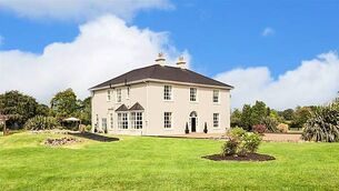 Gardaí investigating after dog killed in suspected firework attack