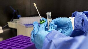 Sinn Féin confirms it will back no-confidence motion in NI Education Minister