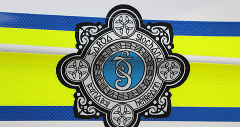 Gardaí remove 52 individuals from the State including seven children
