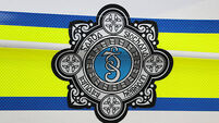 Gardaí remove 52 individuals from the State including seven children