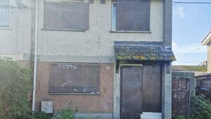 Dog killed following fireworks attack in Athy