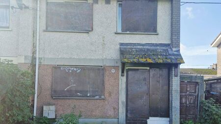 Dog killed following fireworks attack in Athy