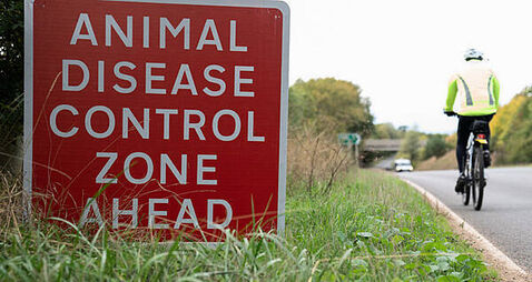 National Poultry Committee chair calls for housing order for farmers to keep birds indoors