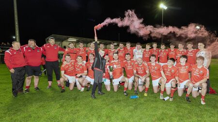 Athy complete double over Naas