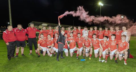 Athy complete double over Naas