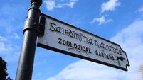 Dublin Zoo ‘vehemently disputes’ staff harassment and animal welfare claims