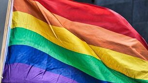 Dáil hears allegations of sexual harassment and animal deaths at Dublin Zoo Dáil hears allegations of sexual harassment and animal deaths at Dublin Zoo