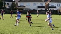 Knockbeg College begin Bro Bosco Cup with confident display