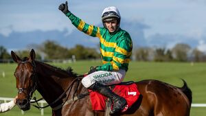 Top level jump racing returns to Naas Racecourse this Sunday