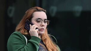 Donegal gardaí seize 14 dogs found in 'shocking conditions'