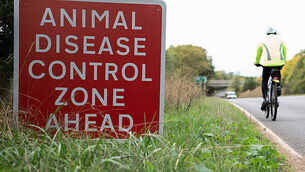 Jim Gavin selected as Fianna Fáil candidate for presidential election Jim Gavin selected as Fianna Fáil candidate for presidential election