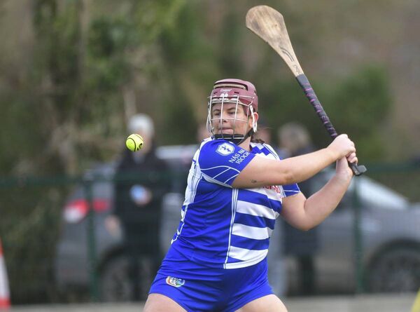 Goalkeeper Roisin Roche clears the sliotar long for Naas Photo: Denis Byrne