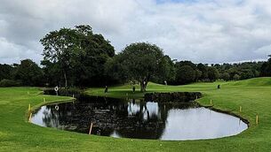 Twitter takeover by Elon Musk created 'uncertainty and fear', Labour Court hears