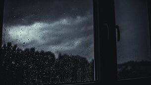 Billy Burns' psychiatrists differ over insanity verdict in matricide case Billy Burns' psychiatrists differ over insanity verdict in matricide case