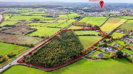 20 acres of land near Monasterevin on market for €200,000   
