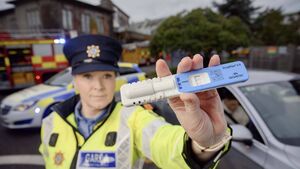 Athy driver gets 10-month prison sentence for drug driving 