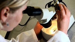 Communities mourn five young people who died in Co Louth crash Communities mourn five young people who died in Co Louth crash