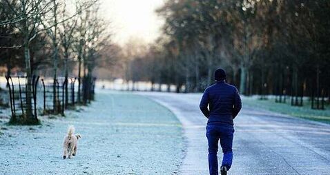 Frost, ice, and maybe some snow: Cold snap to bring freezing temperatures this week