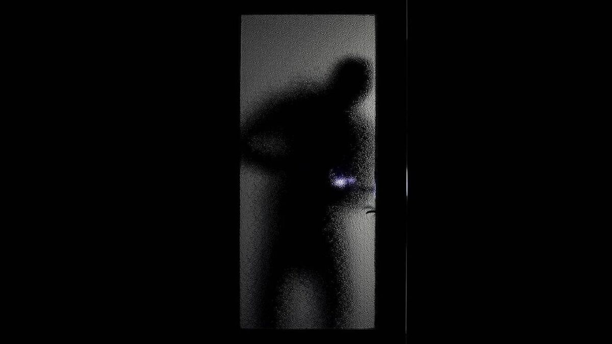 Family disturbed by masked burglars in home on Saturday night
