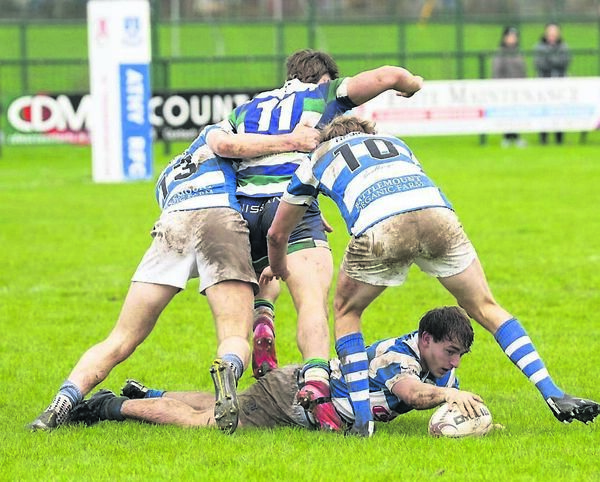 Hayden Casey-Gray, supported here by Aidan Henry and Craig Miller, had a day to remember at The Showgrounds on Sunday as he scored his side’s fifth and final try Hayden Casey-Gray, supported here by Aidan Henry and Craig Miller, had a day to remember at The Showgrounds on Sunday as he scored his side’s fifth and final try