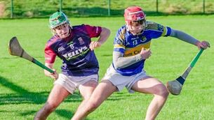 <p>Rian Curran (Naas CBS) turns away from Karl Lawlor of Borris	Photo: Aisling Hyland</p>