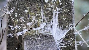 Uisce Éireann urges households to winter-proof homes as cold snap hits