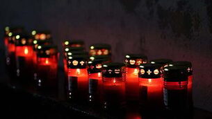 Castletown House lands bought by OPW