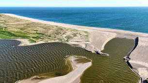 Murder probe after death of man found unresponsive in Dublin street