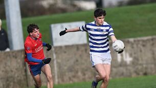 <p>Knockbeg's Dylan O'Dwyer gets ready to take a shot Photo: Pat Ahern</p>