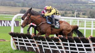<p>Brighter Days Ahead and State Man contesting last years' Morgiana Hurdle at Punchestown Photo:©INPHO/Peter Mooney</p>