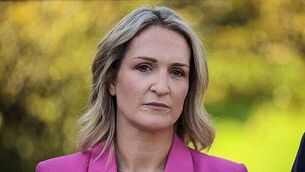 Taoiseach was warned Stripe co-founder was likely to be critical of Ireland's over-regulation