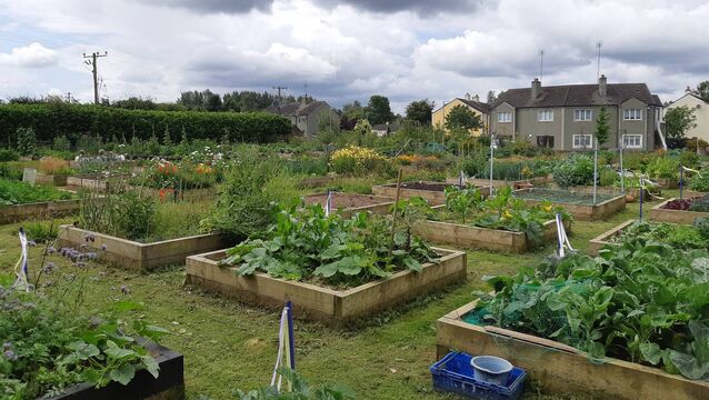 <p>The Zero Waste Community Garden in Rathcoffey </p>