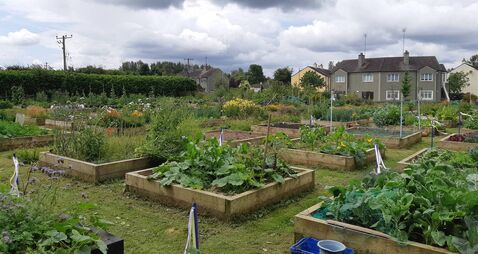 Green Flag returns to two Kildare landmarks