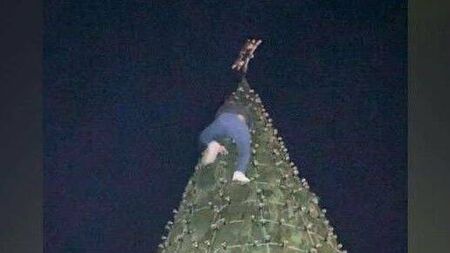 Culprit comes forward after climbing town's Christmas Tree