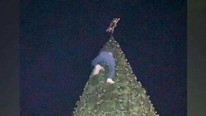 Culprit comes forward after climbing town's Christmas Tree