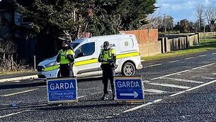 Reports from Ukraine peace talks ‘positive’ – Helen McEntee Reports from Ukraine peace talks ‘positive’ – Helen McEntee