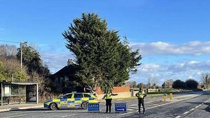 Three people held in connection with murder of William Delaney released without charge