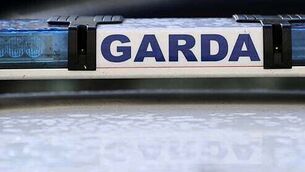 Three people held in connection with murder of William Delaney released without charge