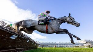 <p>Paul Townend on Lossiemouth wins The Unibet Morgiana Hurdle (Grade 1) at Punchestown last Saturday Photo: ©INPHO/Morgan Treacy</p>