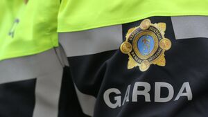 Man arrested in connection to Naas assault