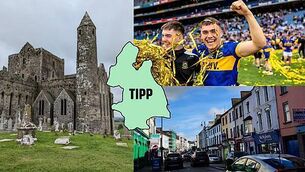 Uniformed gardaí could be armed with tasers as early as this week