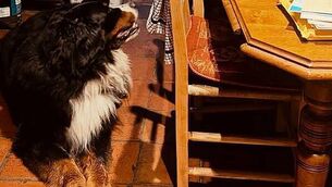 Gardaí investigating after lit newspaper stuffed through letterbox of Donegal home Gardaí investigating after lit newspaper stuffed through letterbox of Donegal home