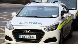 Trial will see 128 gardaí given tasers