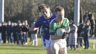 <p>Euan Cowser was in good scoring form for Naas CBS today Photo: Martin Rowe</p>