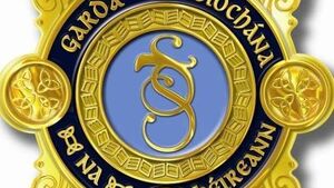 Man killed in Carlow hunting accident last night